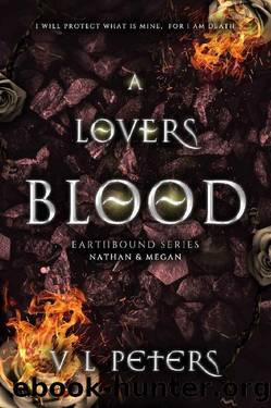 A Lovers Blood (Earthbound Book 3) by V L Peters
