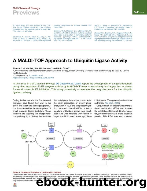 A MALDI-TOF Approach to Ubiquitin Ligase Activity by Bianca D.M. van Tol & Paul P. Geurink & Huib Ovaa