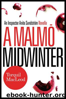 A MALMÖ MIDWINTER by Torquil MacLeod
