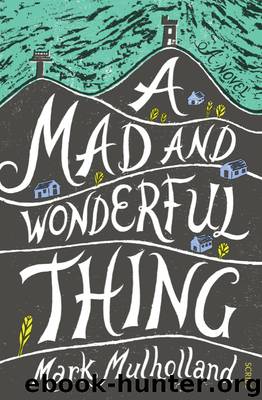 A Mad and Wonderful Thing by Mark Mulholland