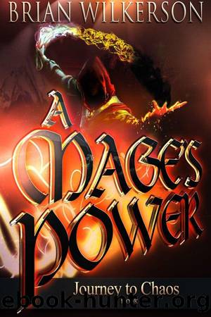 A Mage's Power by Brian Wilkerson