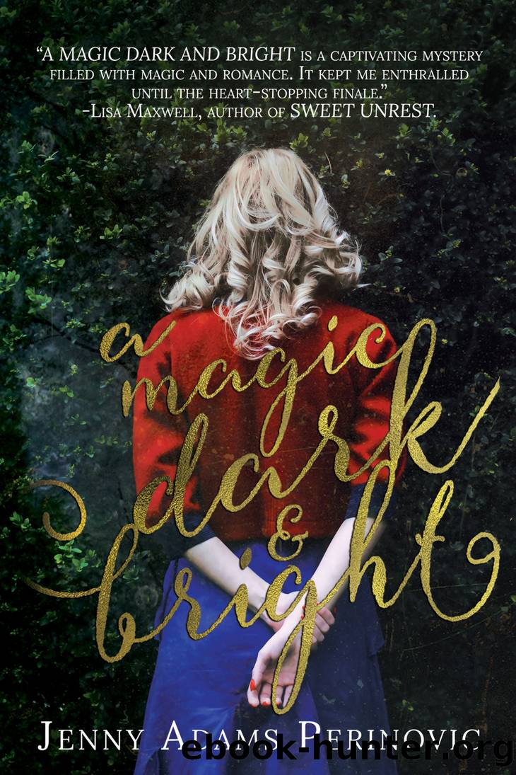 A Magic Dark and Bright by Jenny Adams Perinovic
