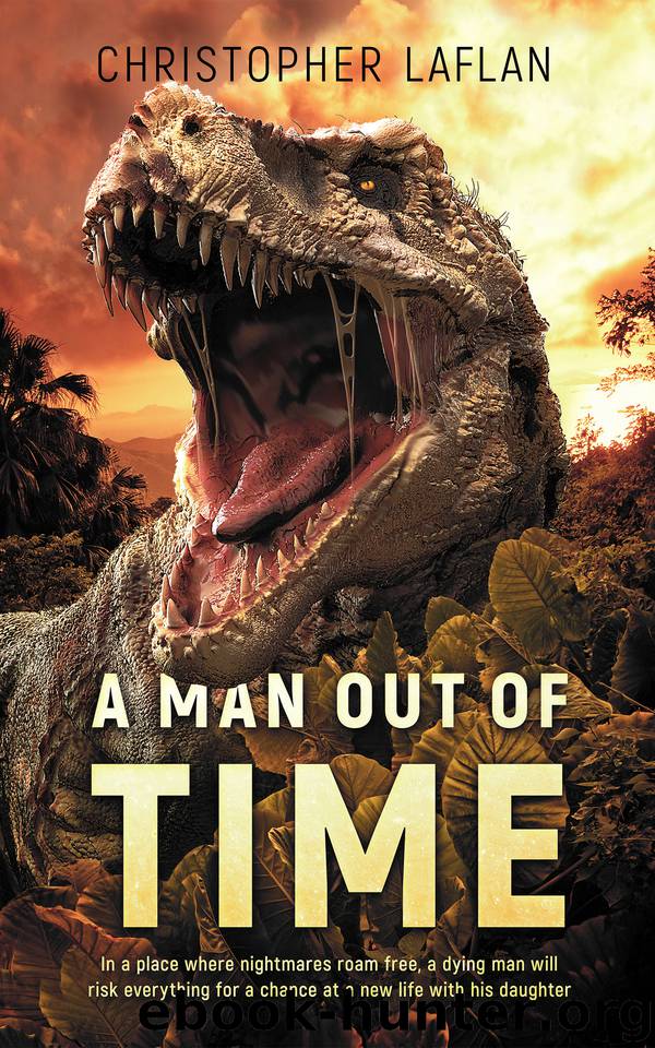 A Man Out Of Time by Laflan Christopher