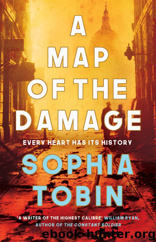 A Map of the Damage by Sophia Tobin
