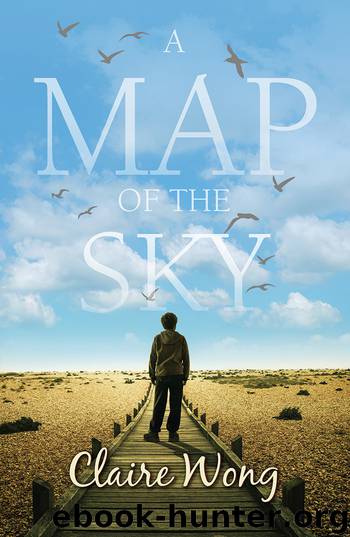 A Map of the Sky by Claire Wong