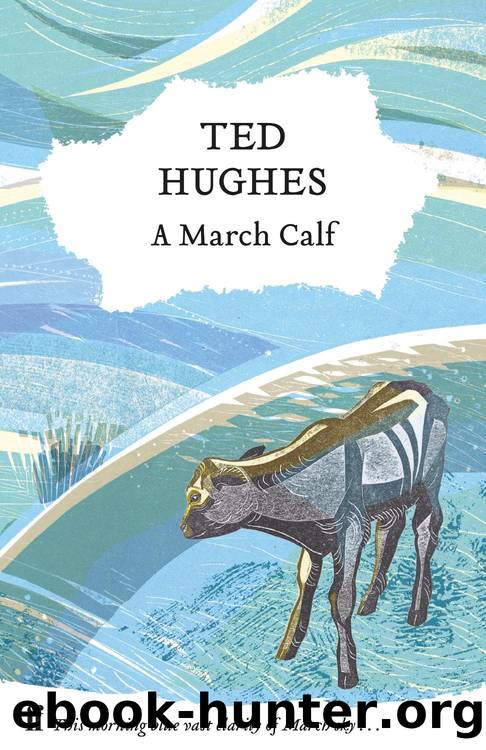 A March Calf by Ted Hughes