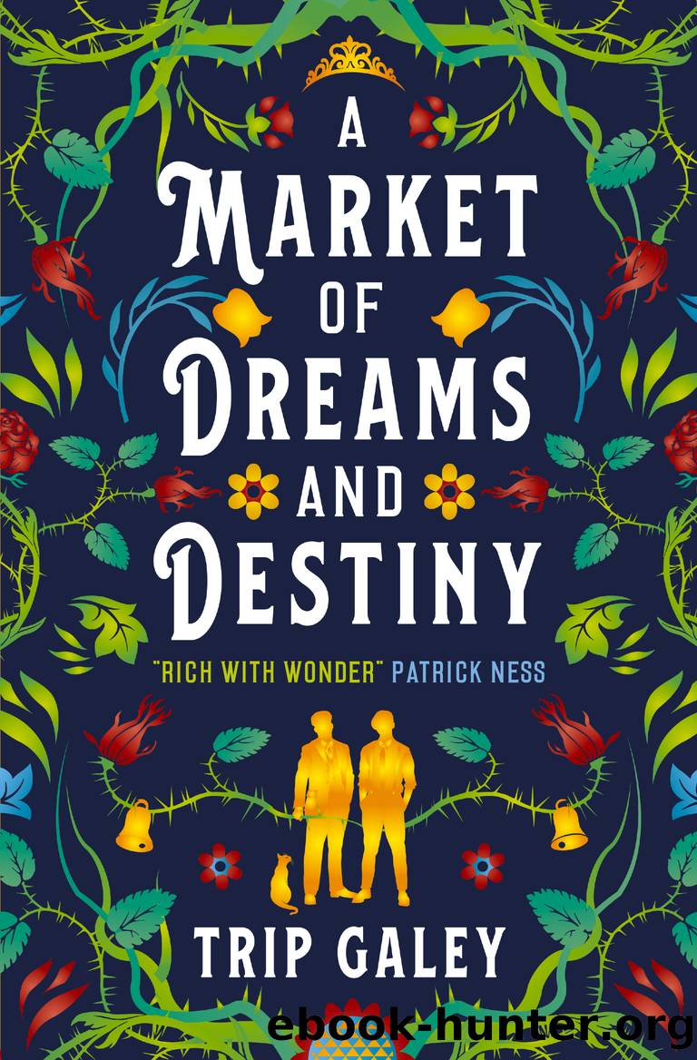 A Market of Dreams and Destiny by Trip Galey