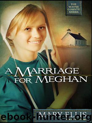 A Marriage for Meghan by Mary Ellis