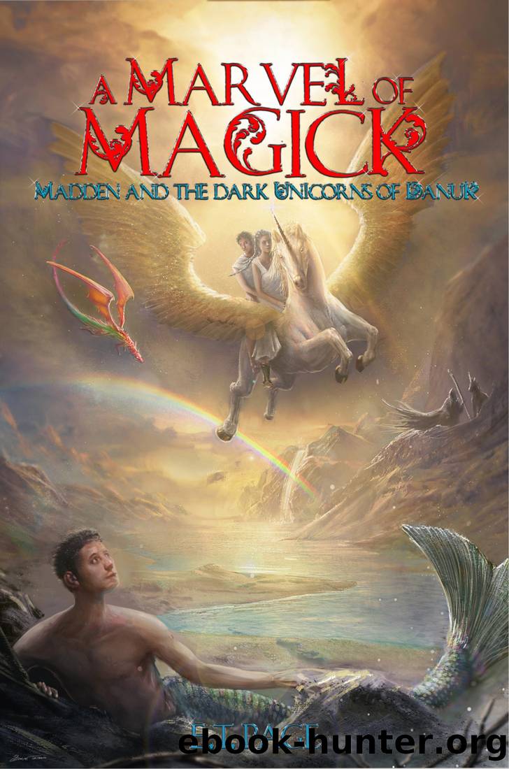 A Marvel of Magick by Ericka Trevor Page