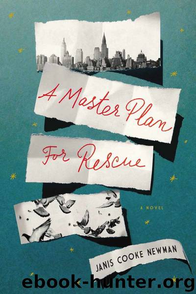 A Master Plan for Rescue: A Novel by Janis Cooke Newman