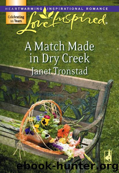 A Match Made in Dry Creek by Janet Tronstad
