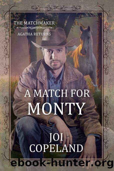 A Match for Monty by Copeland Joi