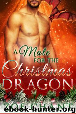 A Mate for the Christmas Dragon by Zoe Chant