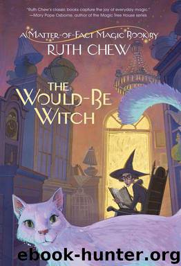 A Matter-of-Fact Magic Book: The Would-Be Witch (A Stepping Stone Book(TM)) by Chew Ruth