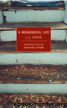 A Meaningful Life by L.J. Davis