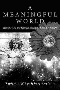 A Meaningful World: How the Arts and Sciences Reveal the Genius of Nature by Benjamin Wiker;Jonathan Witt