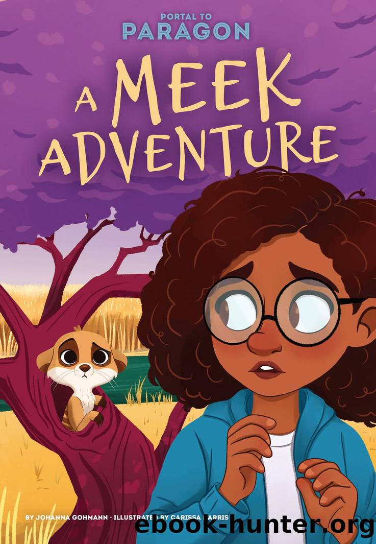 A Meek Adventure by Johanna Gohmann