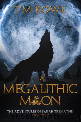 A Megalithic Moon by T M Rowe