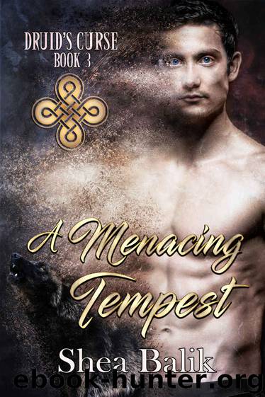 A Menacing Tempest (Druid's Curse Book 3) by Shea Balik