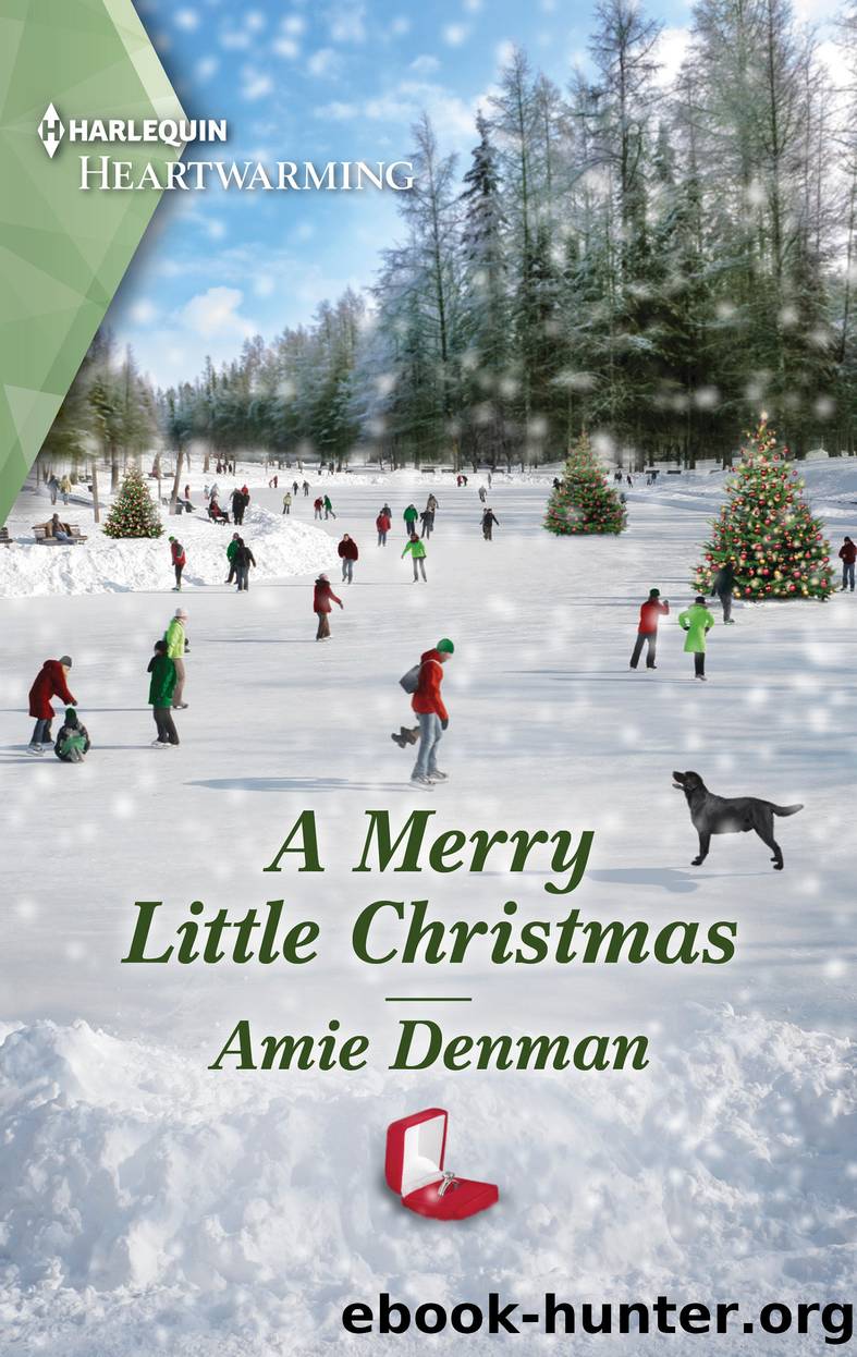 A Merry Little Christmas by Amie Denman