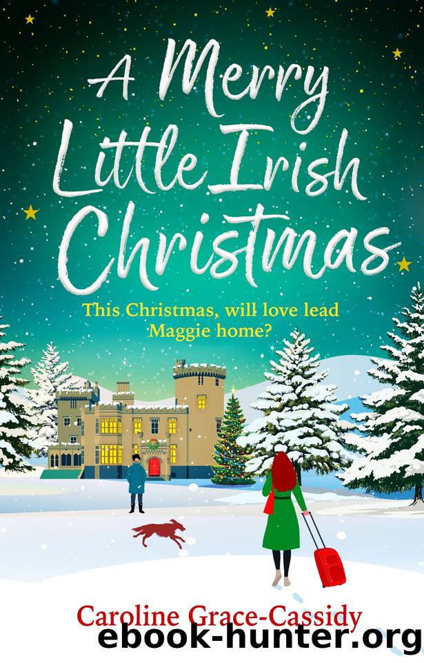 A Merry Little Irish Christmas by Caroline Grace-Cassidy