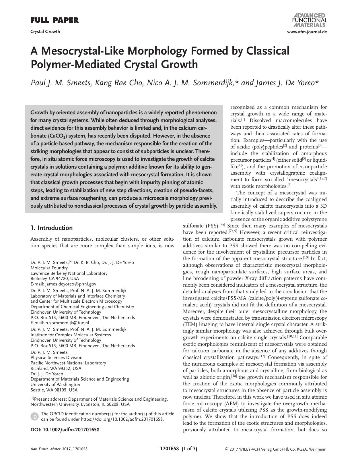A Mesocrystal‐Like Morphology Formed by Classical Polymer‐Mediated Crystal Growth by Unknown
