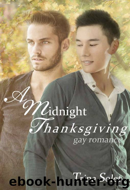 A Midnight Thanksgiving (Gay Romance) by Trina Solet