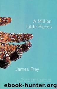 A Million Little Pieces by James Frey