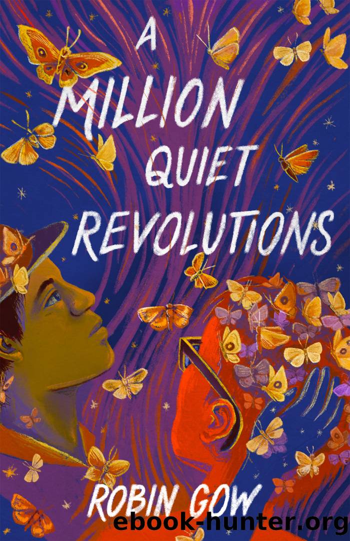 A Million Quiet Revolutions by Robin Gow