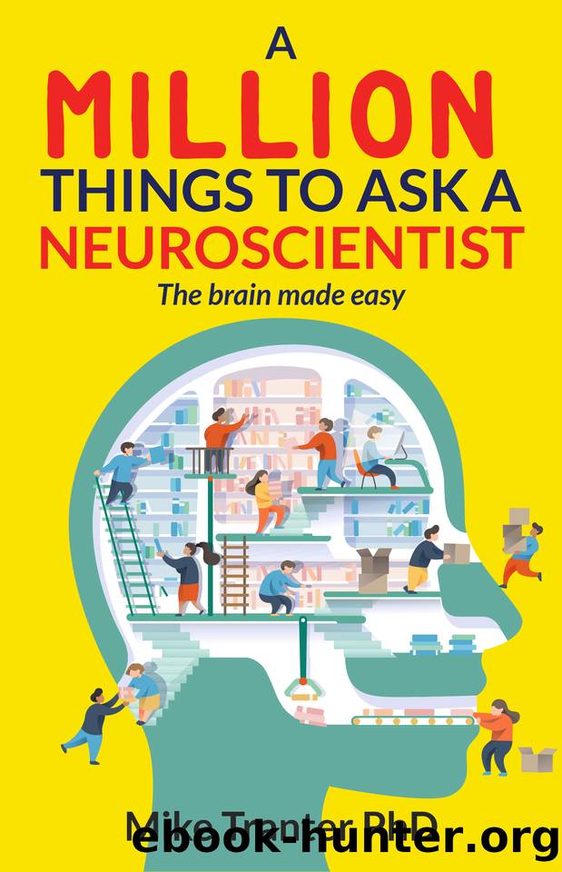 A Million Things To Ask A Neuroscientist: The brain made easy by Tranter Mike