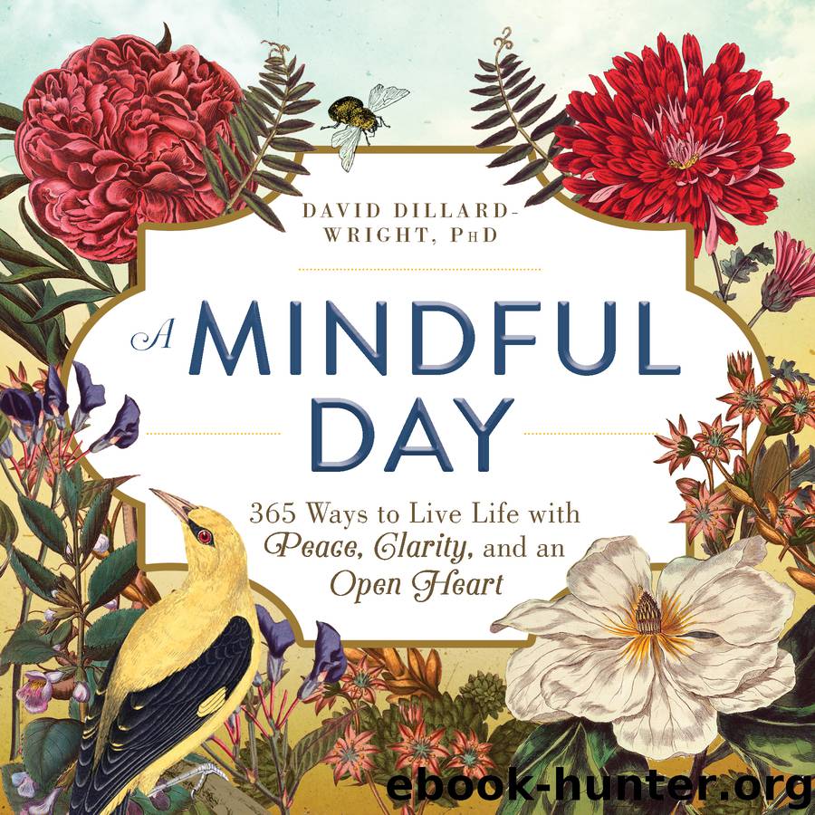 A Mindful Day by David Dillard-Wright