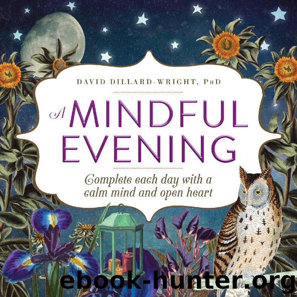 A Mindful Evening by David Dillard-Wright