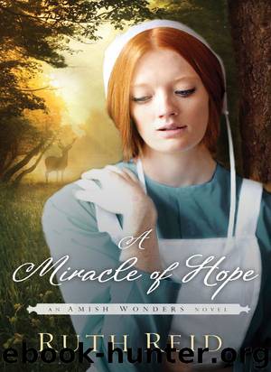 A Miracle of Hope (The Amish Wonders Series) by Reid Ruth