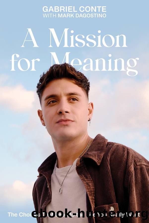 A Mission for Meaning by Gabriel Conte