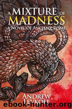 A Mixture of Madness, Book II of The Bow of Heaven by Andrew Levkoff