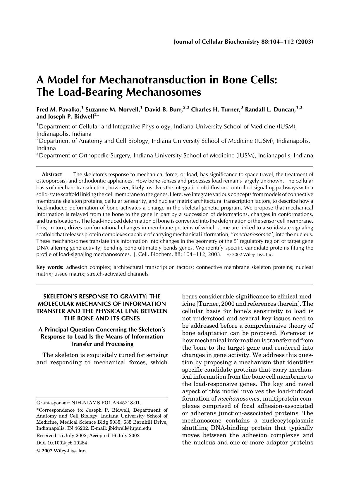 A Model for mechanotransduction in bone cells: The load-bearing mechanosomes by Unknown