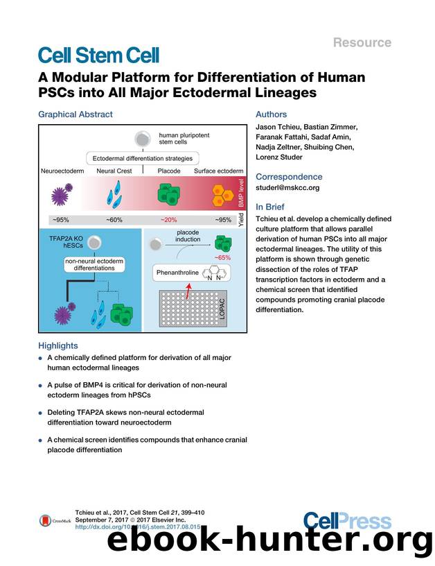 A Modular Platform for Differentiation of Human PSCs into All Major Ectodermal Lineages by unknow