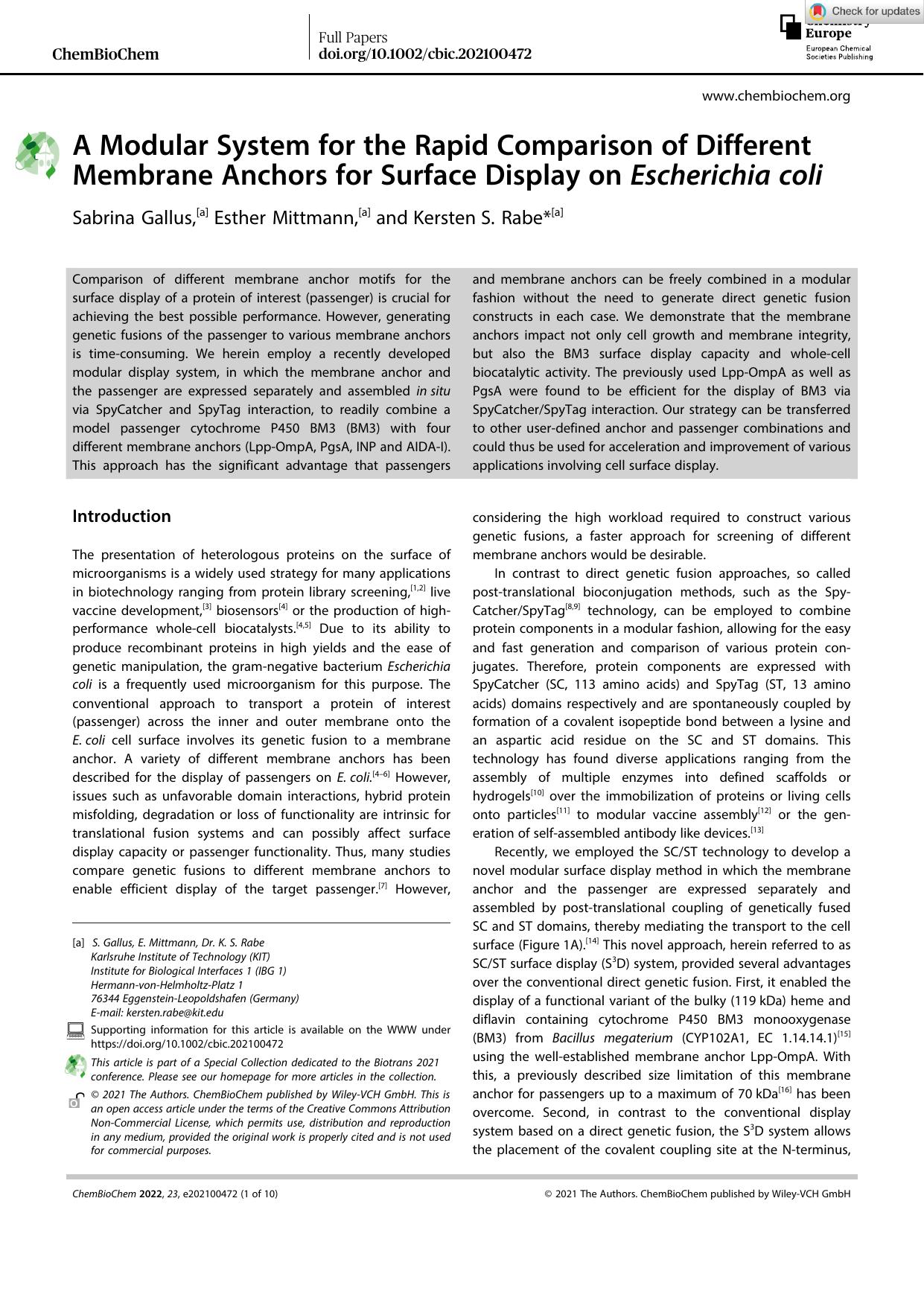 A Modular System for the Rapid Comparison of Different Membrane Anchors for Surface Display on Escherichia coli by Unknown