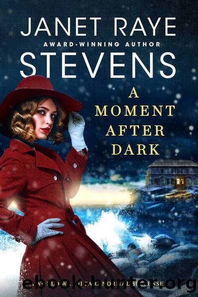 A Moment After Dark by Janet Raye Stevens
