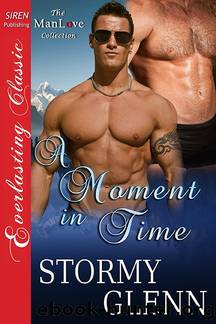 A Moment in Time by Stormy Glenn