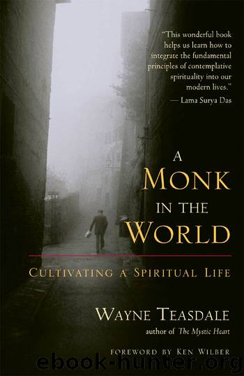 A Monk in the World by Wayne Teasdale