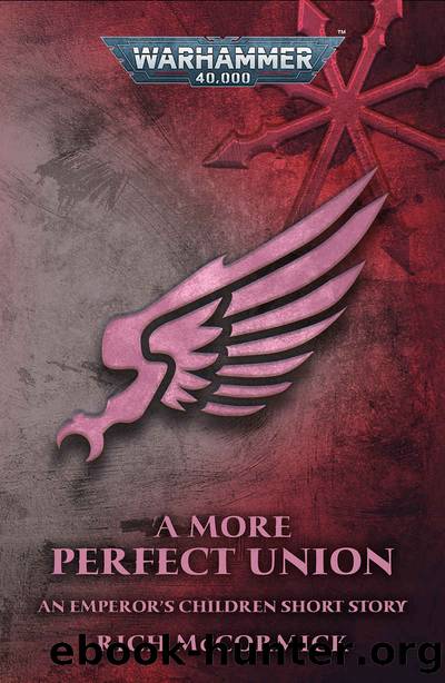 A More Perfect Union by Rich McCormick