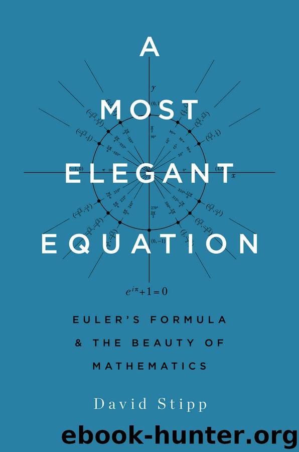 A Most Elegant Equation by David Stipp
