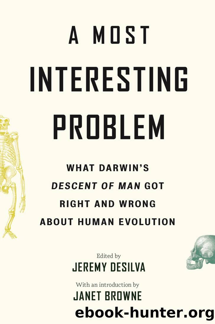A Most Interesting Problem by Jeremy Desilva