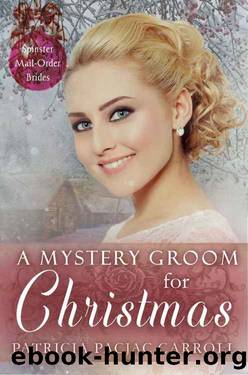 A Mystery Groom for Christmas by Patricia PacJac Carroll
