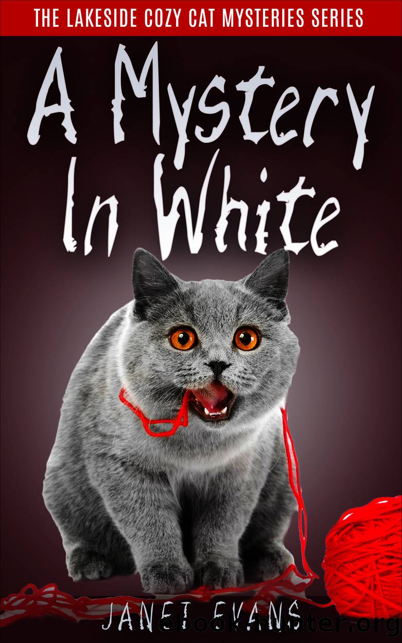A Mystery In White by Janet Evans