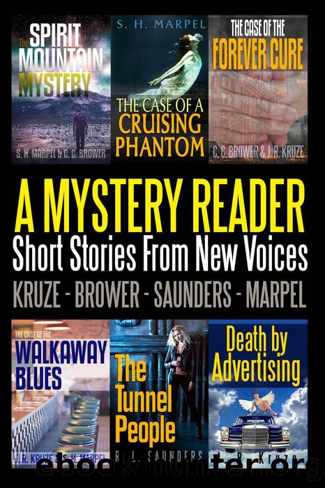 A Mystery Reader 001: Short Stories From New Voices (Short Story Fiction Anthology) by unknow