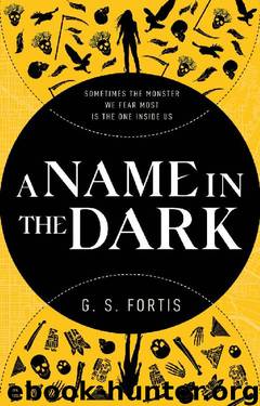 A Name in the Dark by G S Fortis