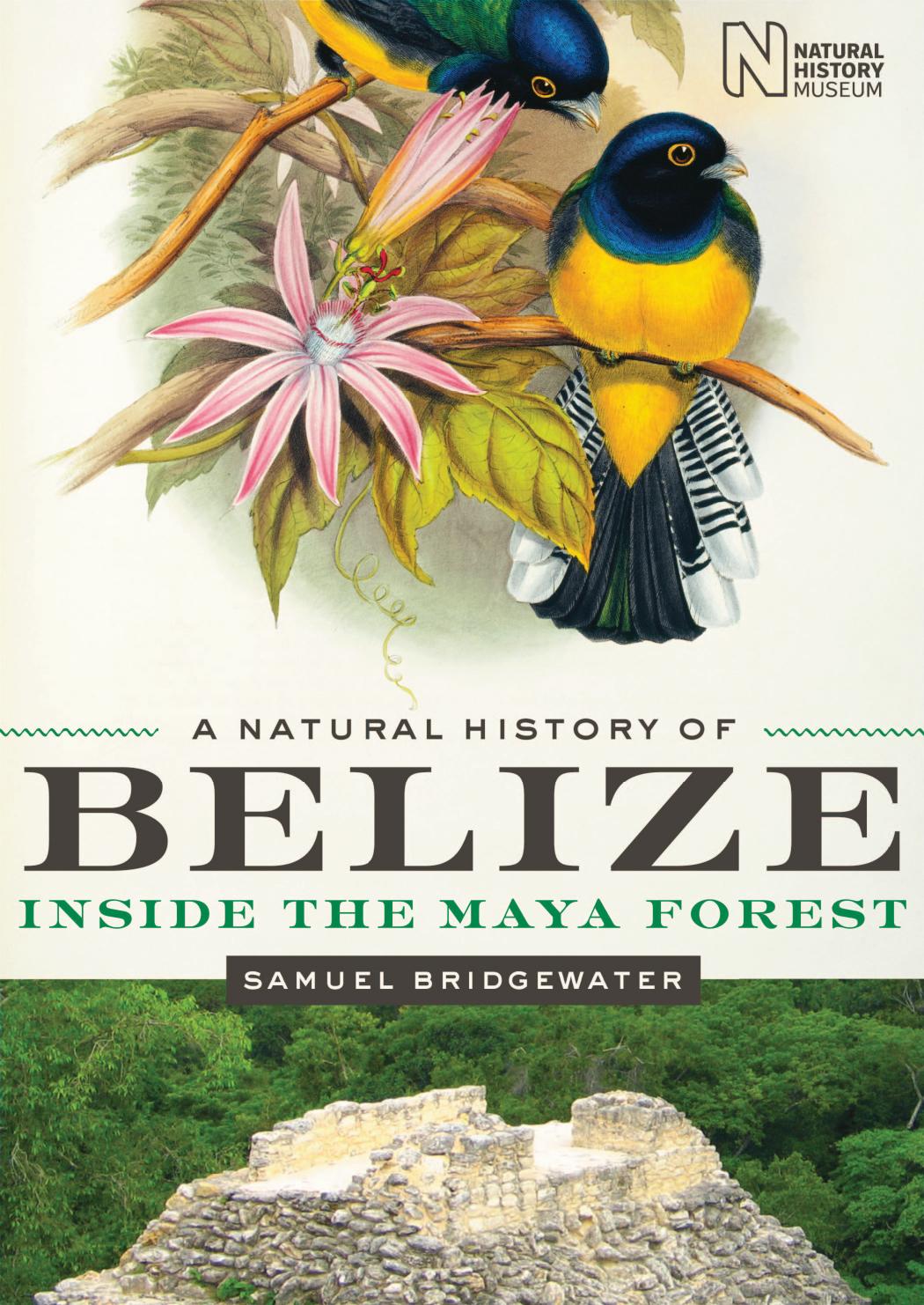 A Natural History of Belize: Inside the Maya Forest by Samuel Bridgewater