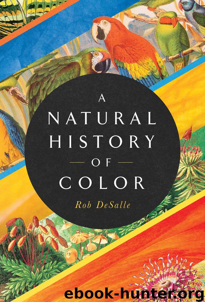A Natural History of Color by Rob DeSalle